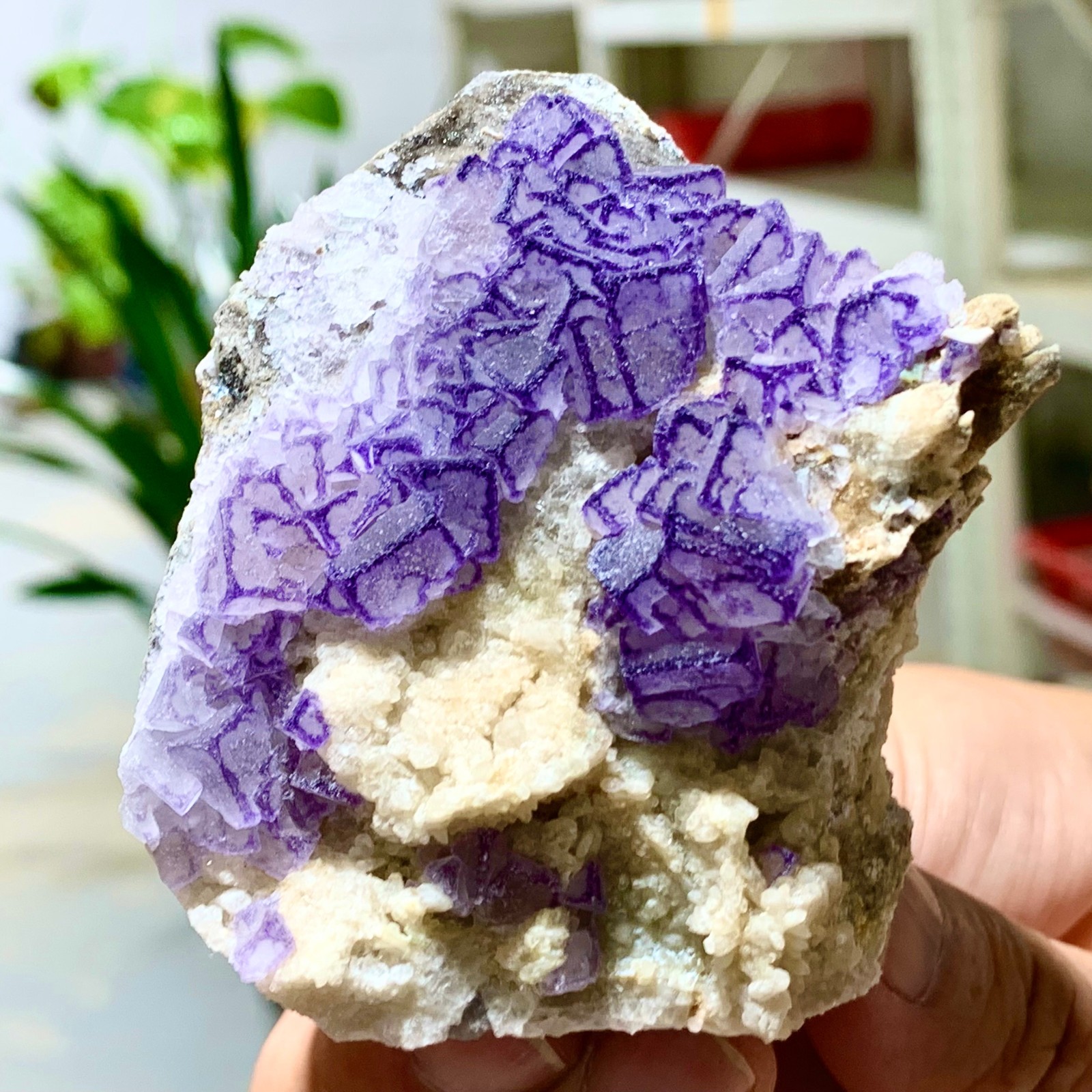 123G Natural Fluorite Purple Green Cubic Mineral Crystal Specimen from Yaogangxian