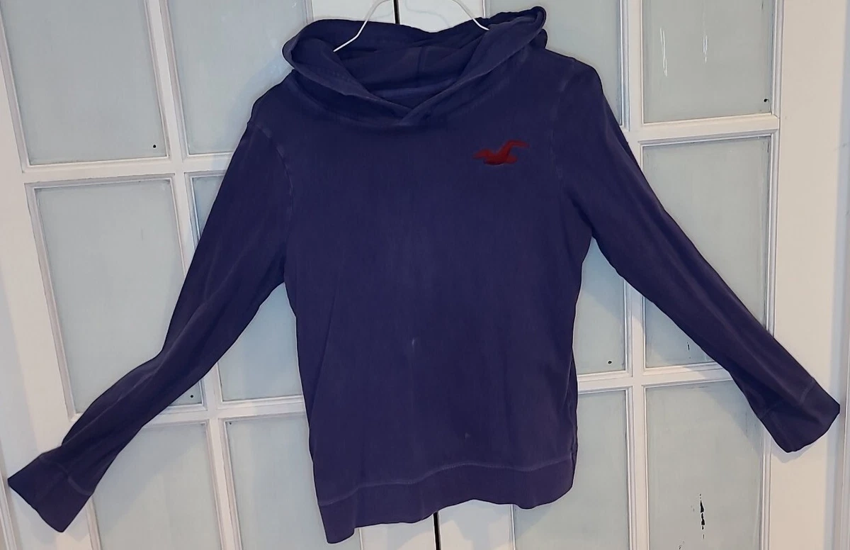 Hollister lightweight online hoodie
