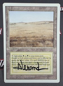 Magic The Gathering Savannah | eBay