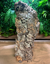 INDIVIDUAL PIECES & BUNDLES OF CORK BARK FOR VIVARIUM & AQUARIUM DECORATION