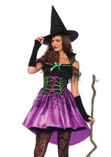 LEG AVENUE 2 PC SPIDERWEB WITCH DRESS MEDIUM