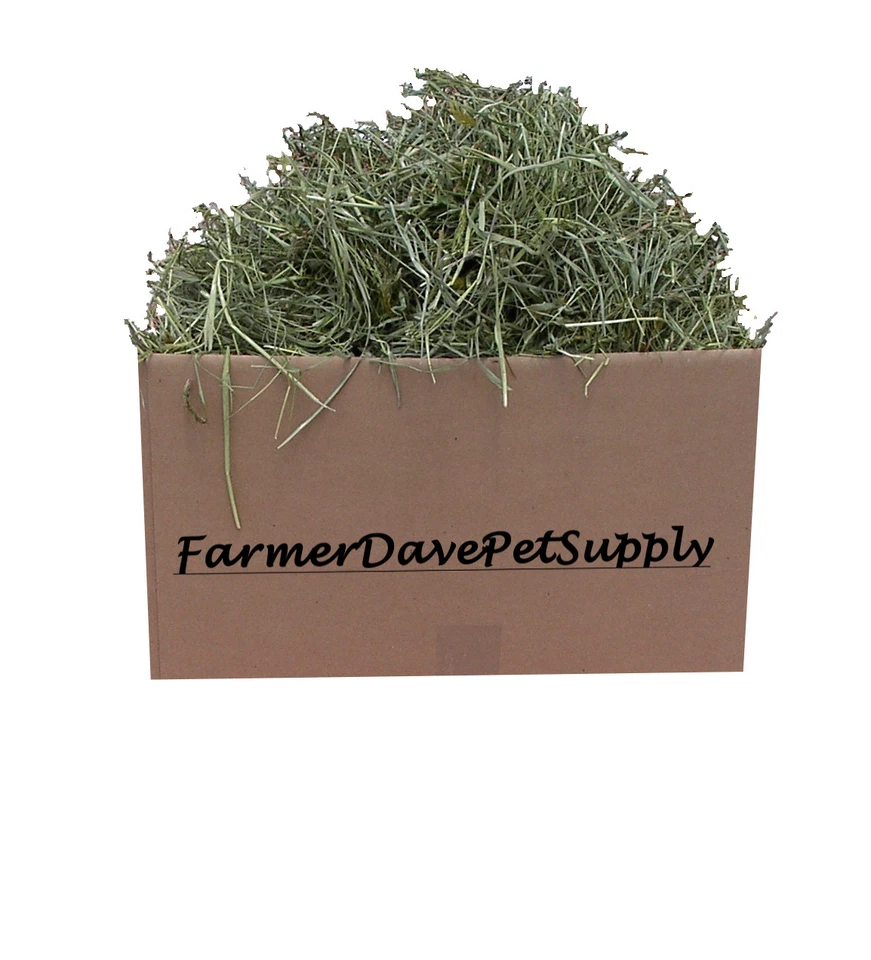 FARMERDAVEPETSUPPLY 3 lb " Early 1st Cut " Premium Rabbit and Bunny "HAY-IN-A-BOX"