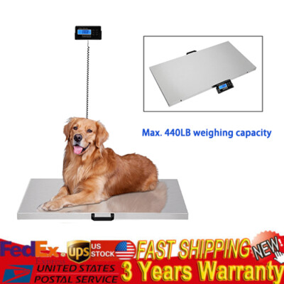 Digital Livestock Vet Platform Scale Hog Dog Pig Sheep Pet Scale Stainless steel