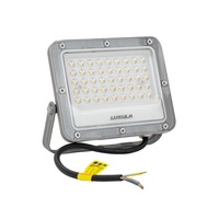 Luxula LED Fluter 30 W 4000 K Neutralweiß Grau IP65