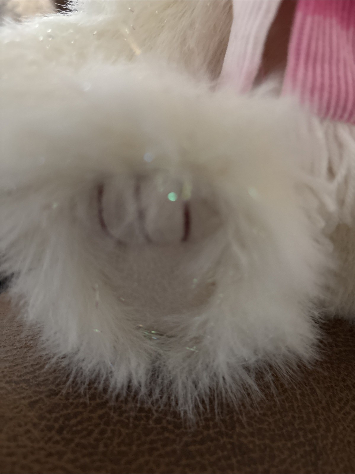 Charlie Bears Anniversary Carol.  CB151562. Isabelle Lee. 2015. 12” All Tags. thumbnail 5