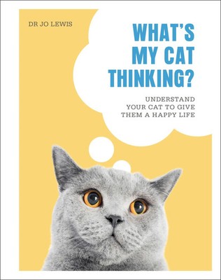 What's My Cat Thinking? | Understand Your Cat to Give Them a Happy Life | Lewis
