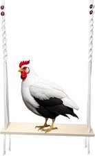 Chicken Swing Toy for Large Coop, Enrichment Hens...