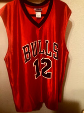 Vintage KIRK HINRICH CHICAGO BULLS JERSEY NBA BASKETBALL SWINGMAN MENS SIZE XL