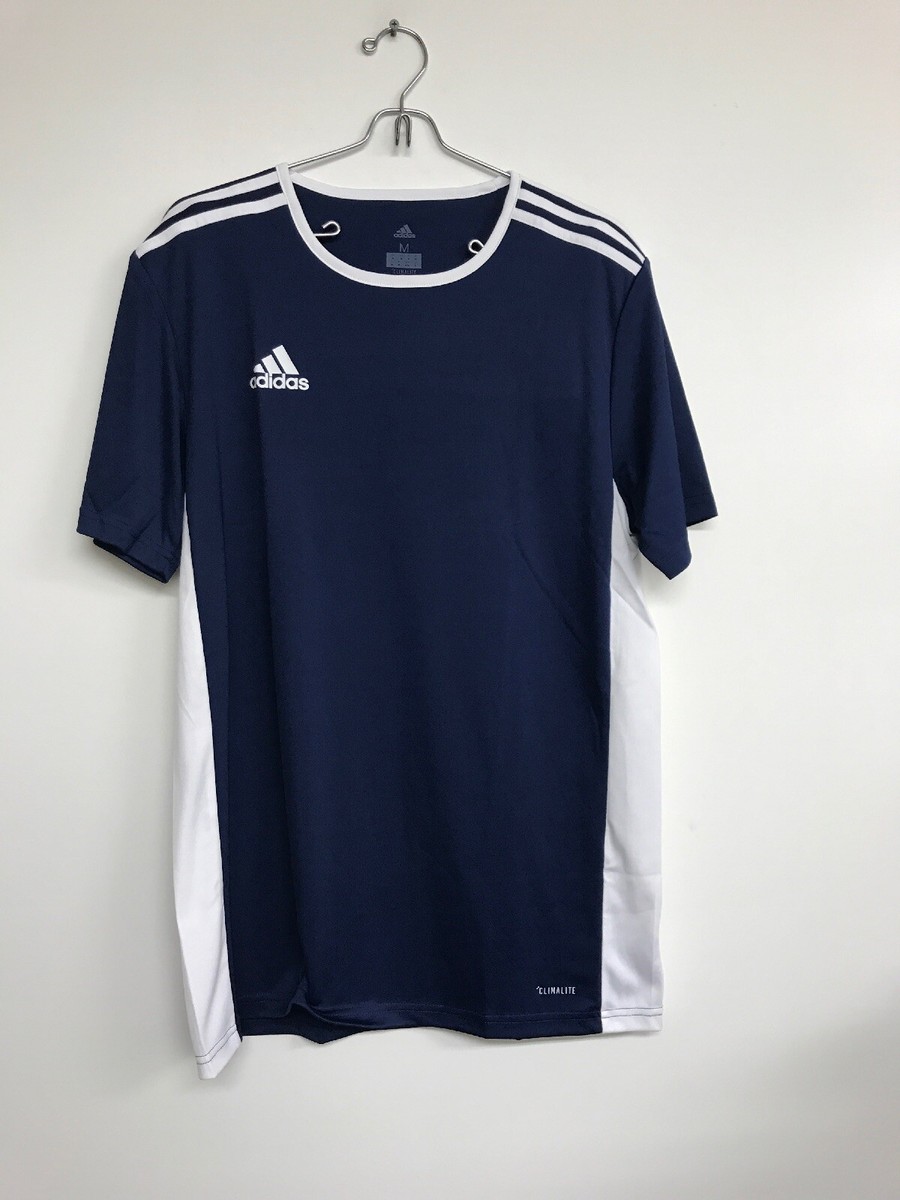 adidas entrada jersey