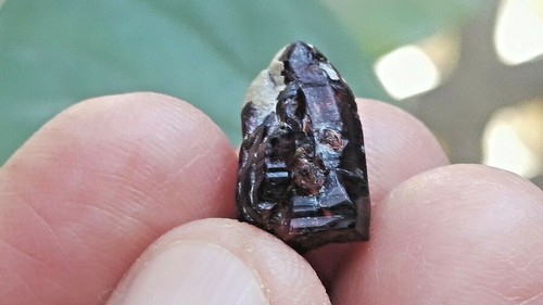 10.80Cts Chondrodite-Rare Chondrodite Crystal Mineral Specimen from Afghanistan - Picture 7 of 14