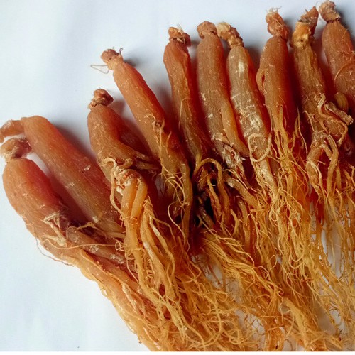 250g Red Panax Ginseng Root 6 year Whole root Ginseng Root With Hair - Afbeelding 1 van 3