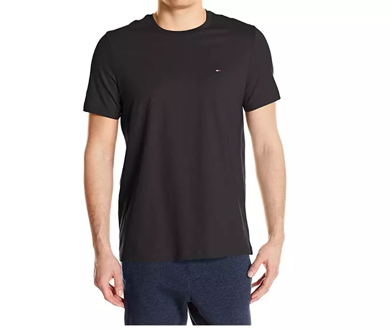 Tommy hilfiger men's hotsell flag crew tee
