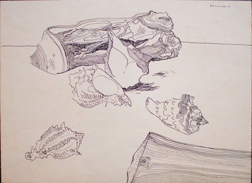 Karl Erich Müller Strandgut Stillleben Ostdeutsche Kunst signiert Zeichnung 1951 - Picture 3 of 4