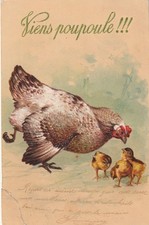 cpa geprägt KOMM PUPPE !!! huhn und küken karte beschädigt