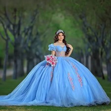Light Blue Puff Sleeve Quinceanera Dress Floral Embroidery Tulle Ball Gown Train