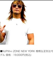 Hiroshi Tanahashi NJPW Sun Model Sunglasses  Japan Pro Wrestling Used