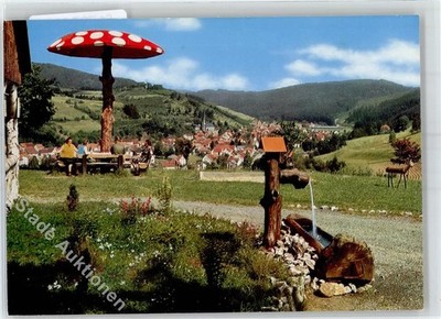 51737235 - 8649 Wallenfels view from Herrgottswinkel