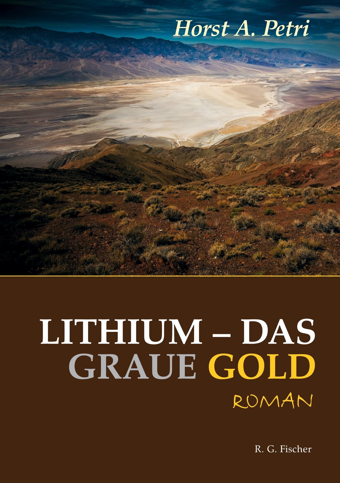 Lithium - Das Graue Gold | Buch | 9783830118558