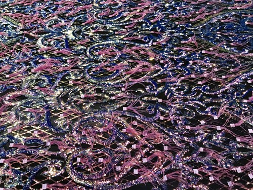 RAINBOW IRIDESCENT FEATHERS SEQUINS ON A 4 WAY STRETCH BLACK MESH-PROM-BY YARD - Picture 3 of 9