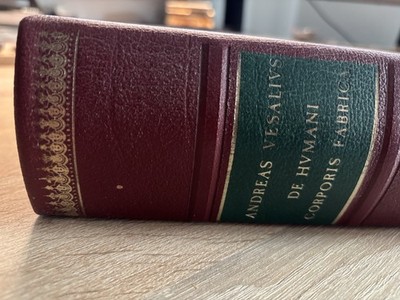 Andreas Vesalivs Bruxellensis Imperatoris medici,de Humani corporis fabrica/1543
