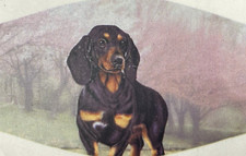 Dachshund Lover's Face Mask Double Stitch Triple Filter High Quality