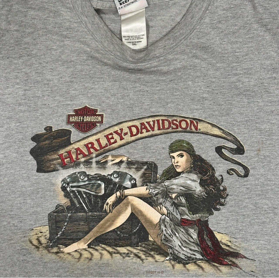 2007 Devil Mountain Harley Tee - image 3