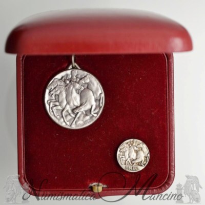 Medaglia e distintivo in argento 25 anni di lavoro ENEL 1961 con