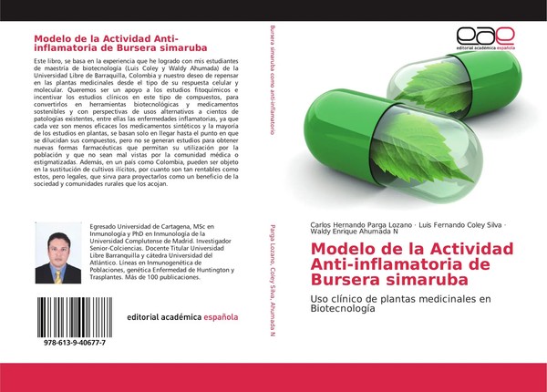Carlos Hernando Parga Lozano (U. A.) | Modelo De La Actividad...-image
