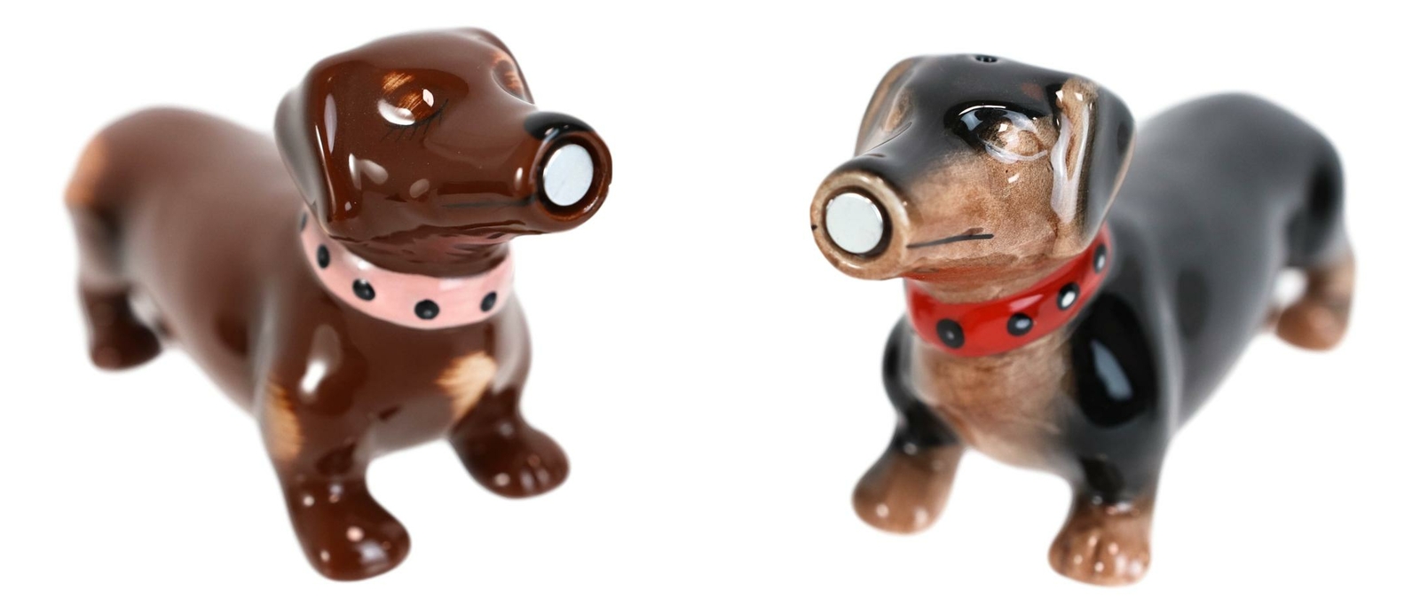 Sausage Wiener Dogs Black And Chocolate Dachshunds Salt And Pepper