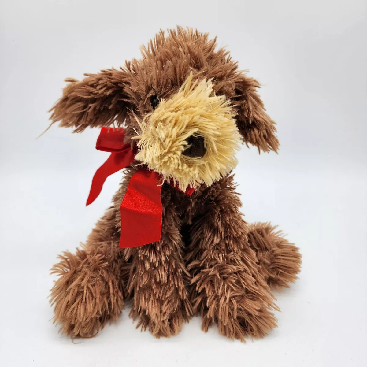 Beagle toy top poodle mix