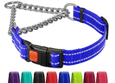 Martingale Dog Collar Reflective Blue w/ Stainless Chain Medium 14-17"