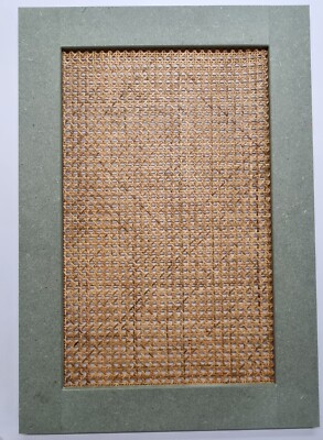 Maßgefertigte handgefertigte MDF Shaker Stil Küchentür mit Rattan Ref 8