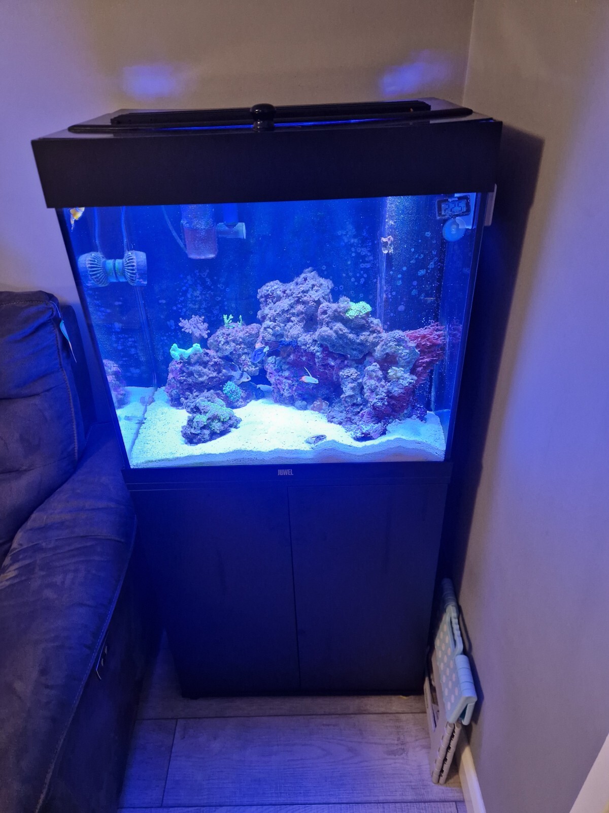marine aquarium set up used eBay