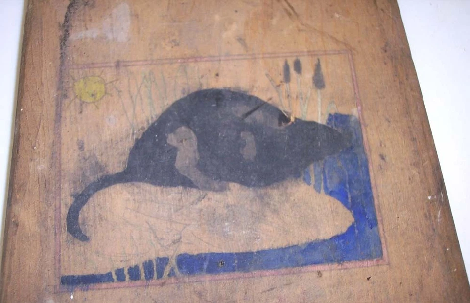 Ten Antique Wood Hide Stretchers Animal Pelt Fur Tanning old traps advertising - Image 4 of 4