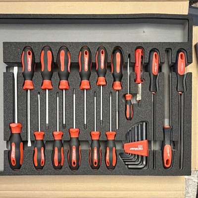 Carolus by GEDORE EA2080 20pc Hand Tool Set Metric Chrome Red/Black Box MPN