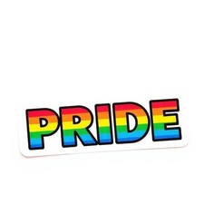 LGBTQ pride rainbow sticker vinyl decal equality love wins pride month