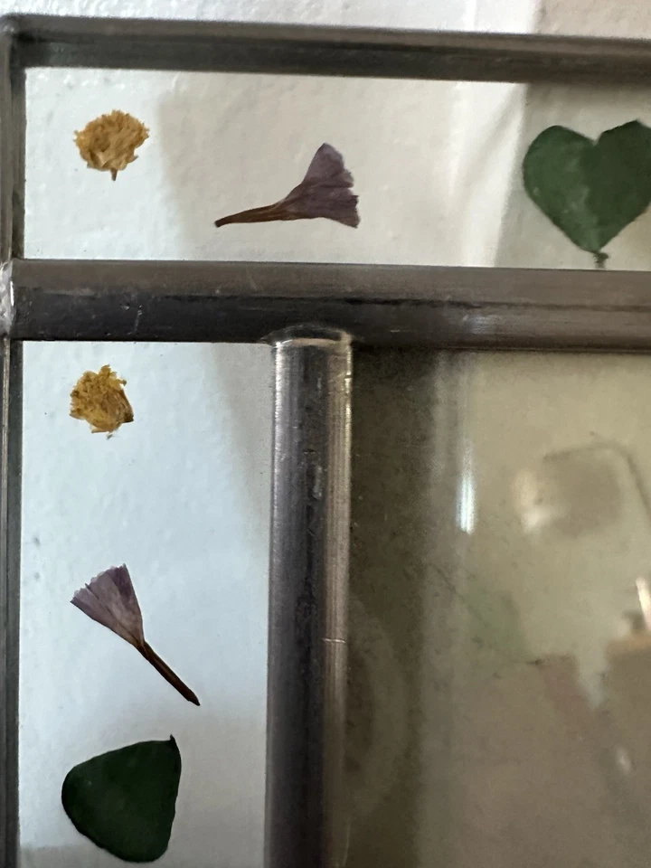 彩色玻璃相框压叶和花朵 5 英寸 x 7 英寸图片后载 — 第 3/4 张图片