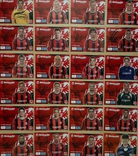 Tarjetas de autógrafo - Eintracht Frankfurt - Temporada 2010/2011 - SELECCIÓN