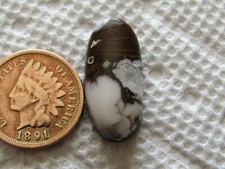 Naturalny dziki koń magnezyt kaboszon 12 karatów kabina dzikiego konia biały czerwony brąz