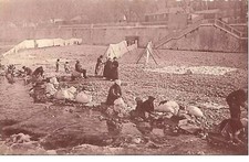 06.NICE.LE Paillon.lavandieres