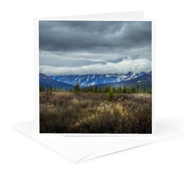 3dRose, Cloudy skies loom overhead in the Alaska tundra, Greeting Card