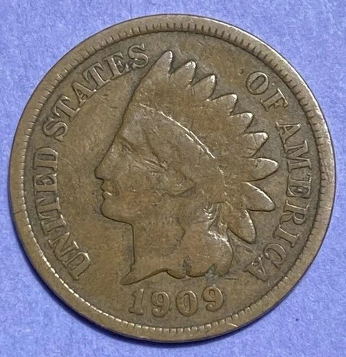 1909 Indian Head Cent Penny 116-Year-Old Penny 121J