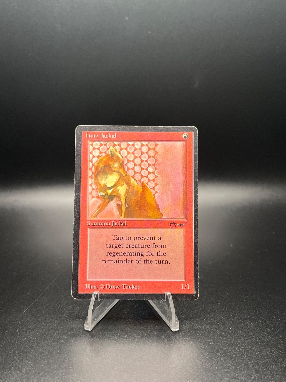 Magic: The Gathering Hurr Jackal Arabian Nights Common Creature Regular