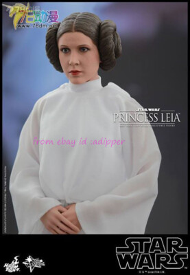 Hot Toys MMS298 1/6 Star Wars Episode IV New Hope Princess Leia