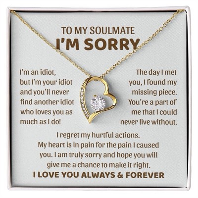 I am Sorry apology forgiveness Pendant Necklace gift for her Heartfelt Message