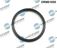 1X Dr.Motor Automotive DRM01850 Dichtring Ladeluftschlauch FüR Mercedes-Benz