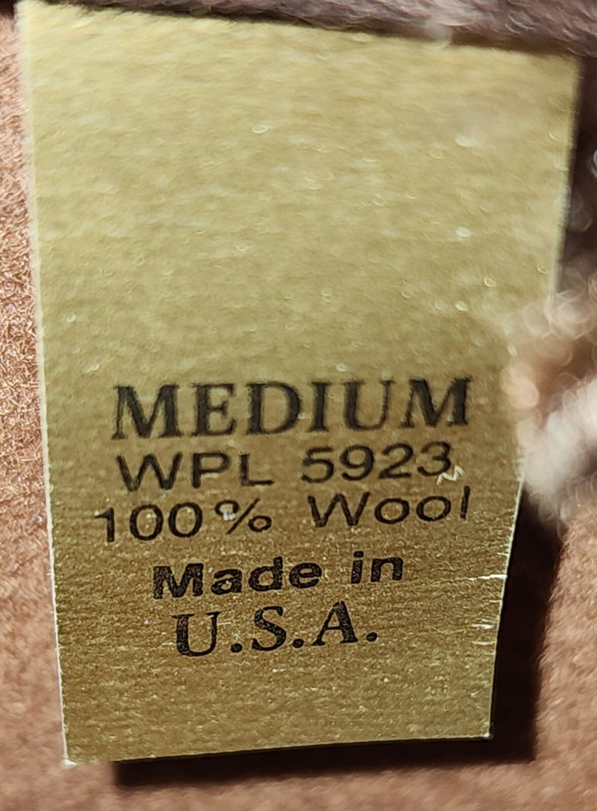 Pendleton 100% Virgin Wool Size Medium Beige Pana… - image 7