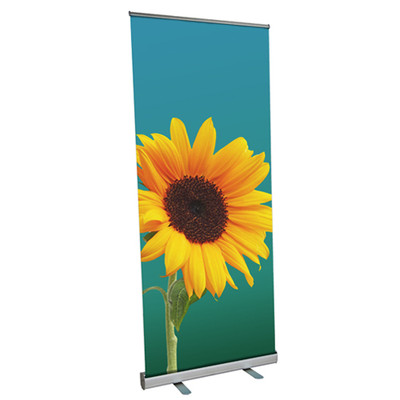 6 x Rollup Display Premium - ohne Druck 85 x 200 cm - Roll Up mit Klemmleiste