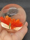 Vintage Flower Glass Paper Weight Orange /red Flower — photo 10