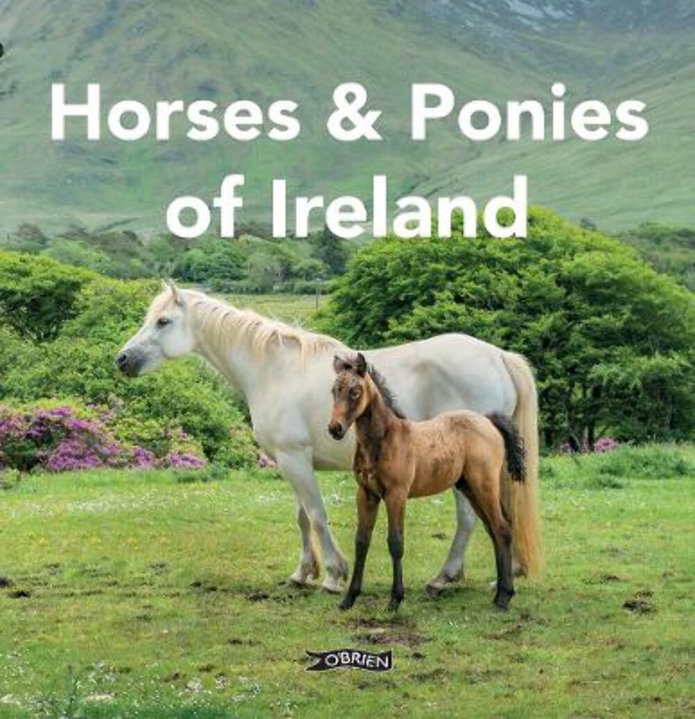 O'Connor Sarah: Horses And Ponies Of Ireland [2026] hardback
